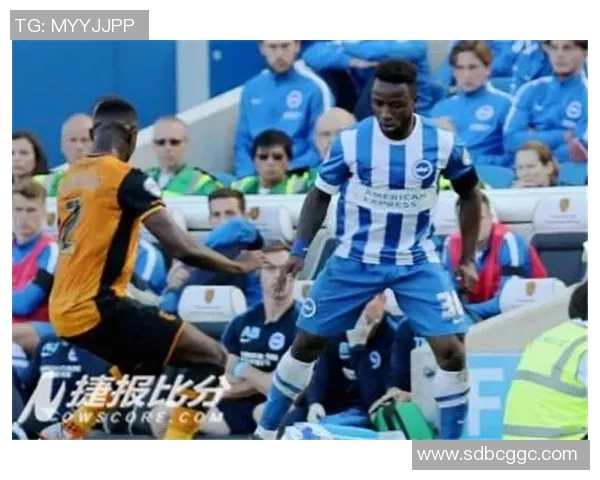 布赖顿与狼队最新对决结果揭晓谁在比赛中胜出分析与回顾